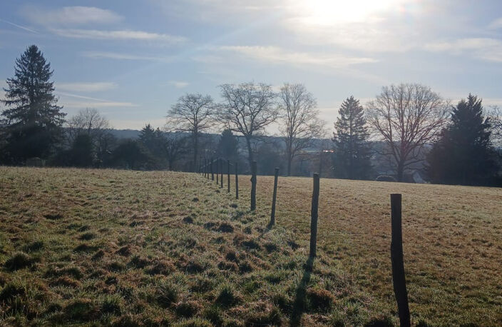 Vente terrain constructible de 2406 m2 ANGEOT — photo 2