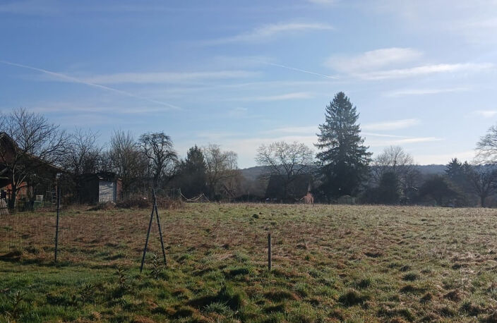 Vente terrain constructible de 2406 m2 ANGEOT — photo 3