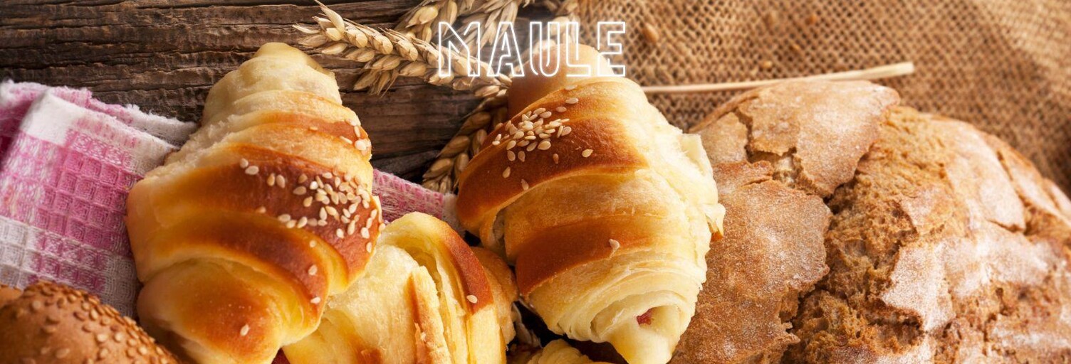 Commerce  300 m² à vendre à Maule (78580)