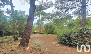 Terrain  1245 m² à vendre à La Teste-de-Buch (33115)