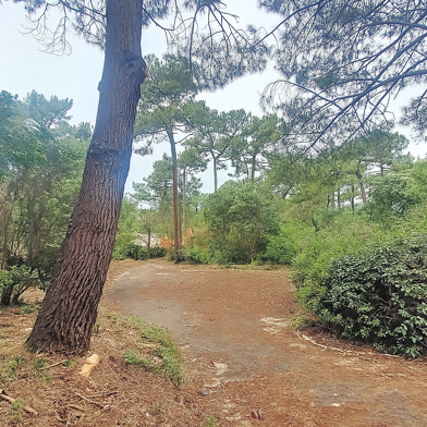 Terrain  1750000 €