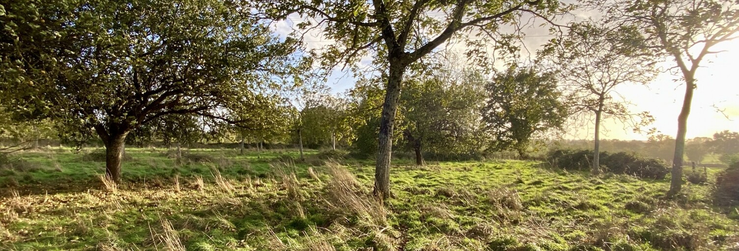 Terrain  5827 m² à vendre à Saint-Hilaire-de-Voust (85120)