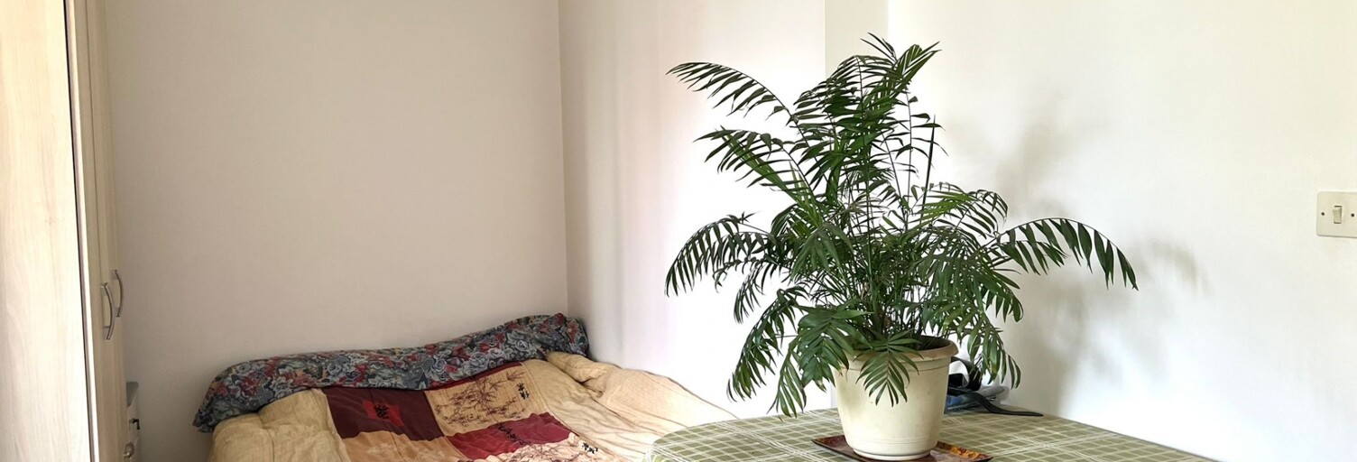 Appartement 1 Pièce 29 m² à vendre à Nantes (44300)