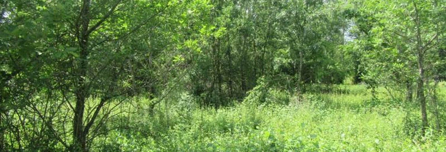 Terrain  1046 m² à vendre à Montdoumerc (46230)