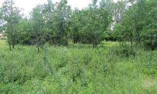 Terrain  1046 m² à vendre à Montdoumerc (46230)