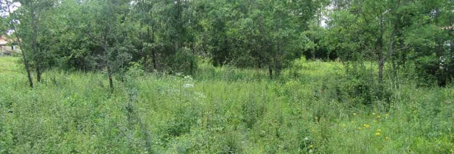 Terrain  1046 m² à vendre à Montdoumerc (46230)