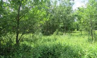 Terrain  1046 m² à vendre à Montdoumerc (46230)