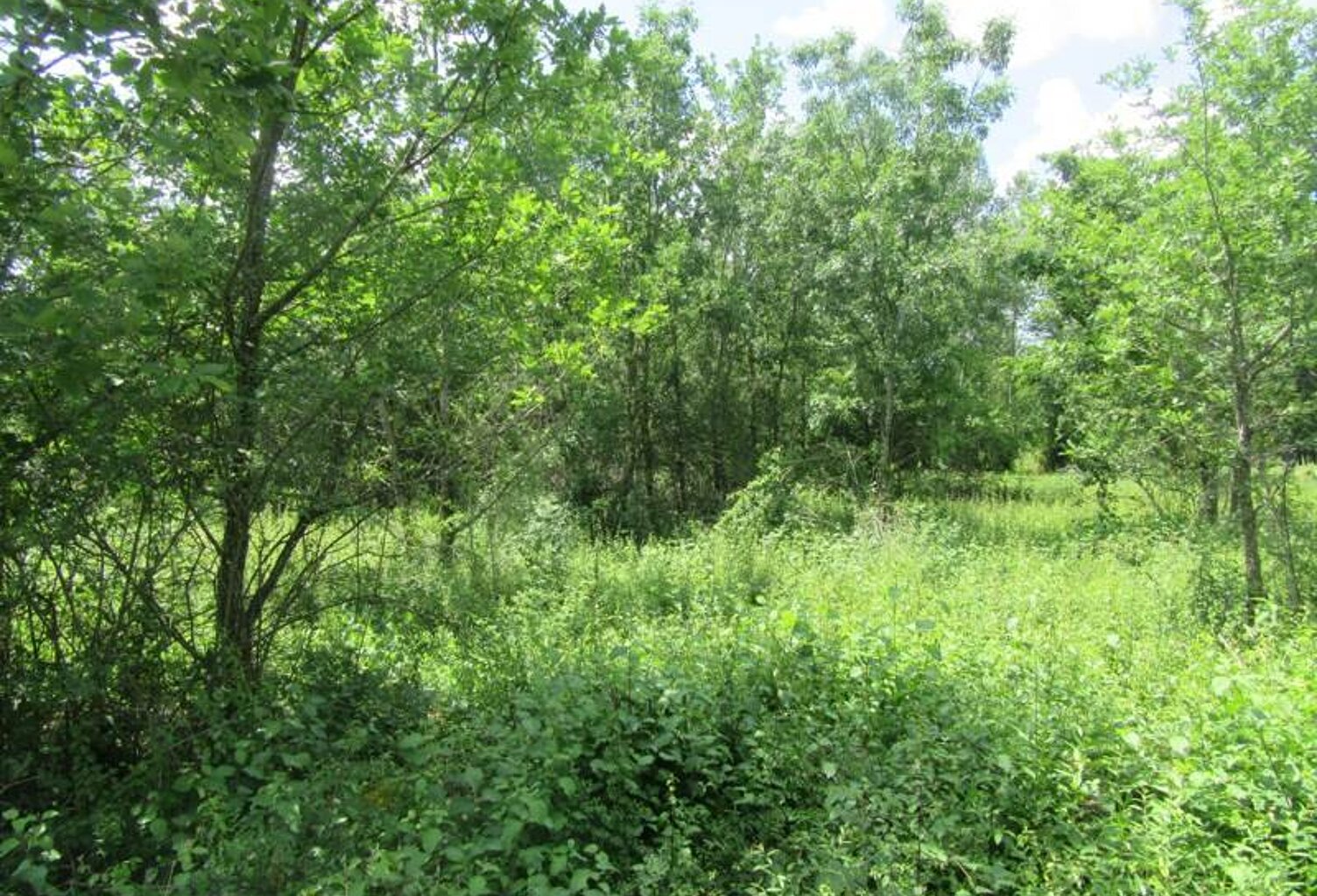 Terrain à bâtir de 0 pièces principales — photo 1