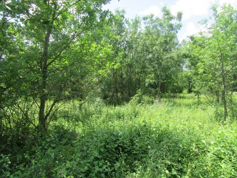 Terrain à bâtir de 0 pièces principales — photo 1