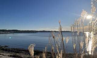 Appartement 1 Pièce 18 m² à vendre à Balaruc-les-Bains (34540)