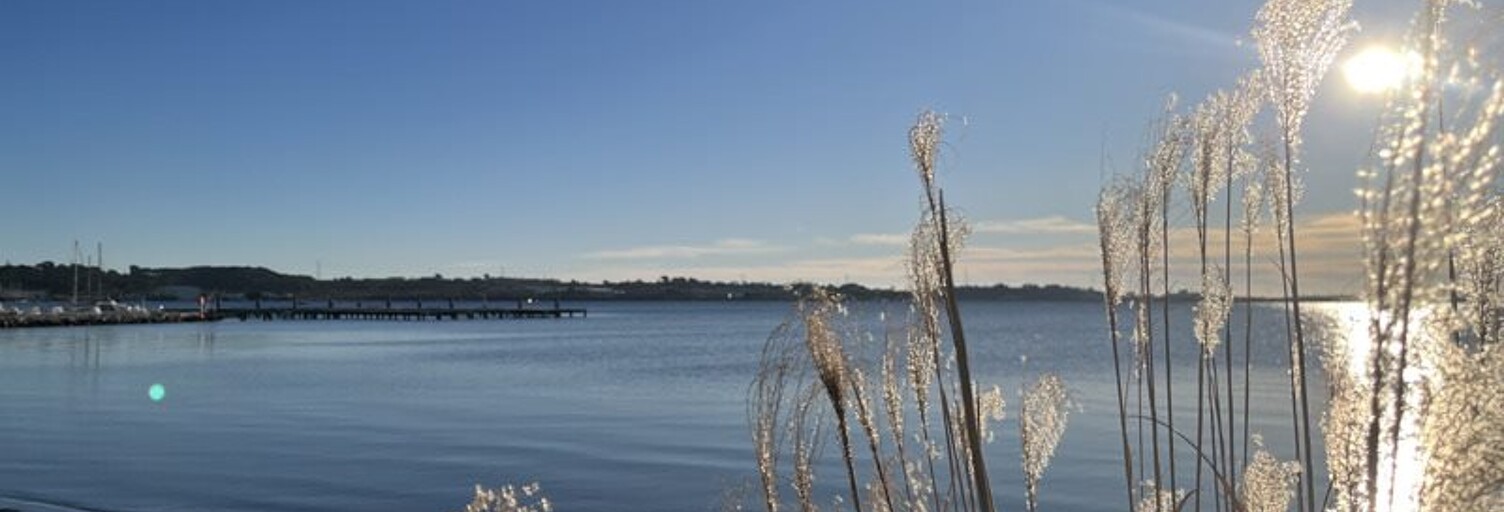 Appartement 1 Pièce 18 m² à vendre à Balaruc-les-Bains (34540)