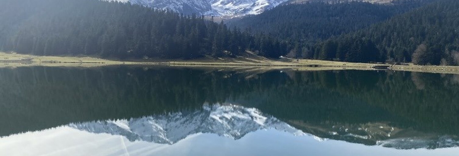 Appartement 2 Pièces 20 m² à vendre à Campan (65710)