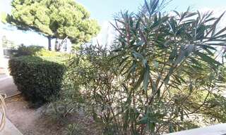 Appartement 1 Pièce 24 m² à vendre à Le Grau-du-Roi (30240)