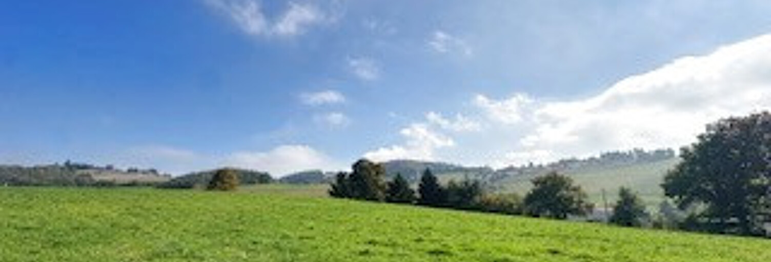 Maison 4 Pièces 200 m² à vendre à Duerne (69850)