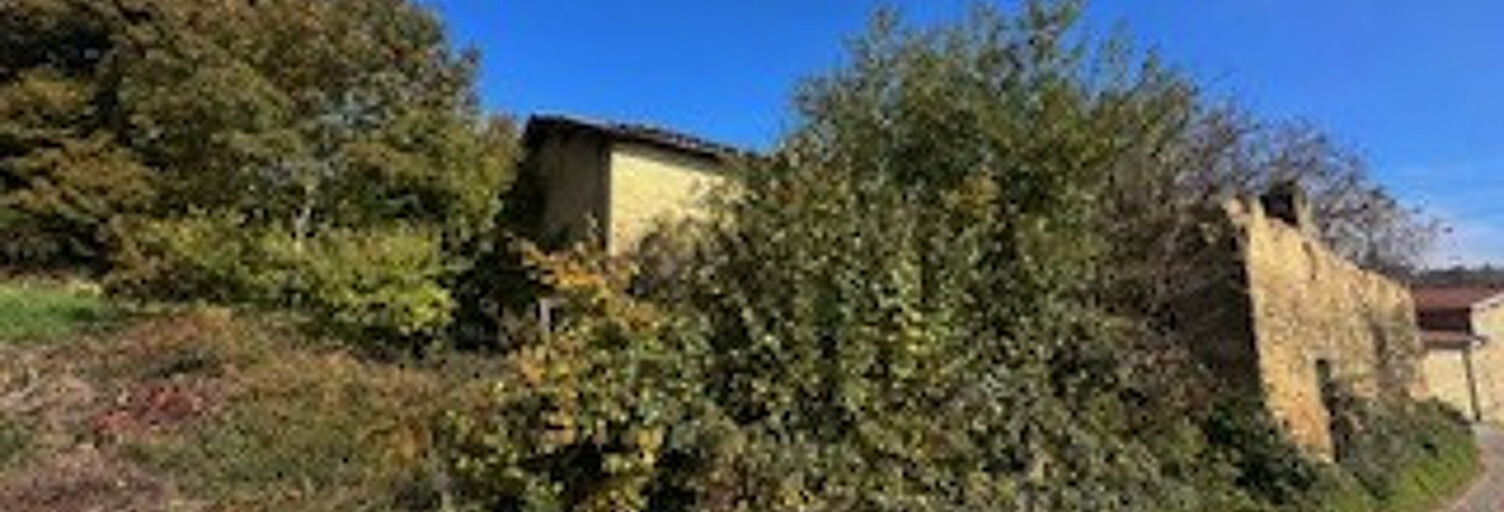 Maison 4 Pièces 200 m² à vendre à Saint-Martin-en-Haut (69850)