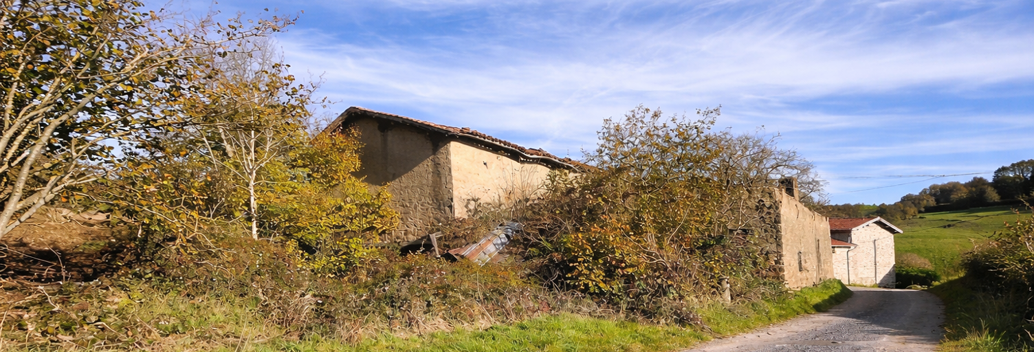 Maison 4 Pièces 100 m² à vendre à Saint-Martin-en-Haut (69850)