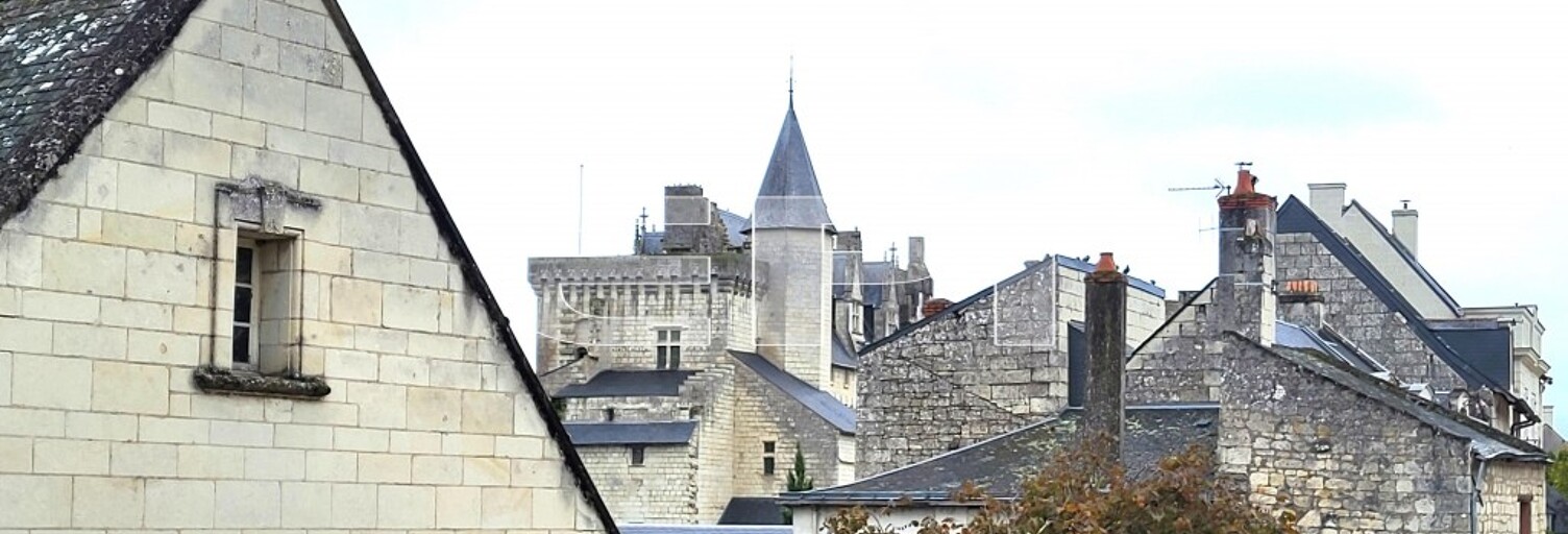 Maison 6 Pièces 230 m² à vendre à Montsoreau (49730)