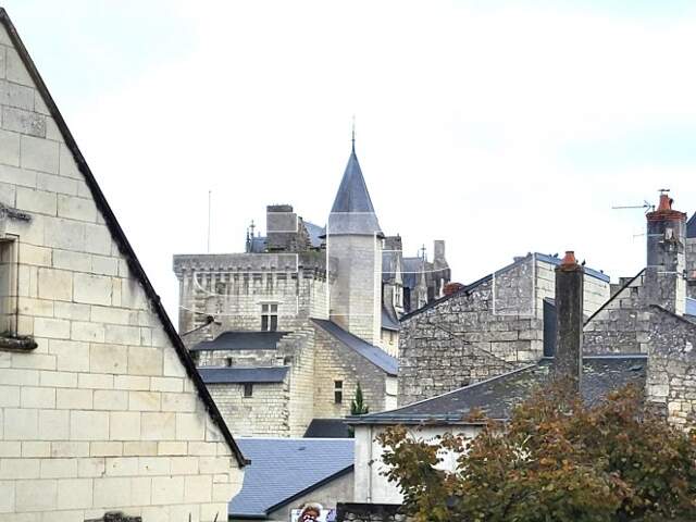 Vue château, énorme potentiel pour cette maison du XVIe, atypi — photo du bien