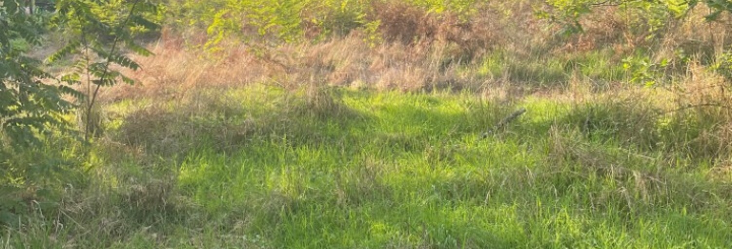 Terrain  1000 m² à vendre à Saint-Aubin-de-Médoc (33160)