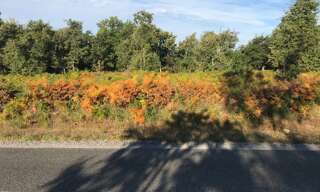 Terrain  746 m² à vendre à Le Temple (33680)