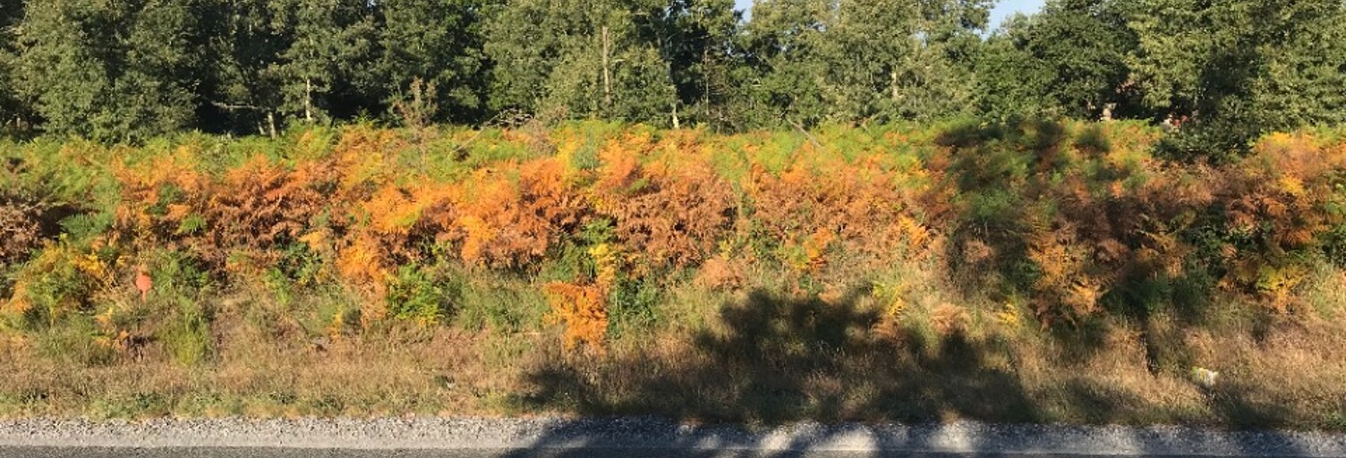 Terrain  746 m² à vendre à Le Temple (33680)