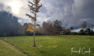 Terrain  1168 m² à vendre à Doudeville (76560)