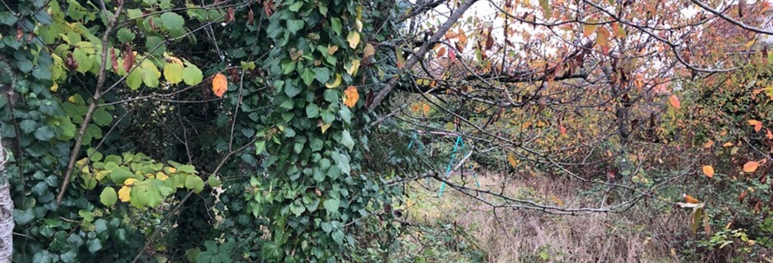 Terrain  900 m² à vendre à Longwy (54400)