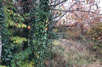 Terrain  210000 €