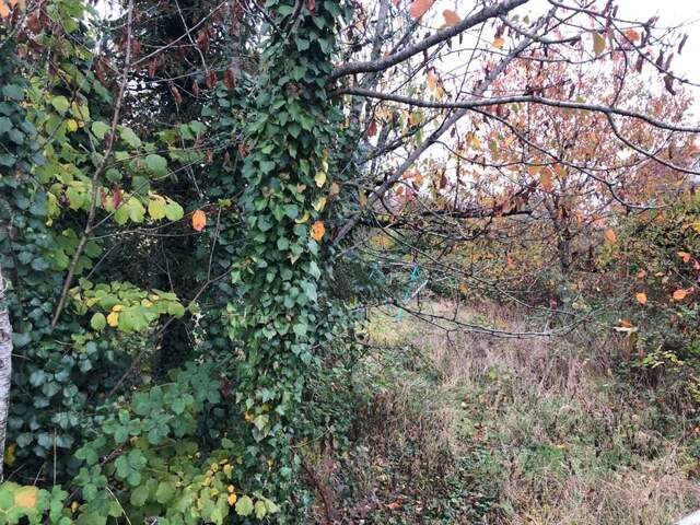 Terrain à vendre 9 ares  LONGWY (54) — photo du bien
