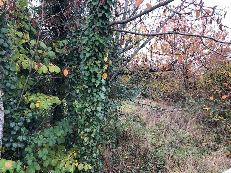 Terrain à vendre 9 ares  LONGWY (54) — photo 1