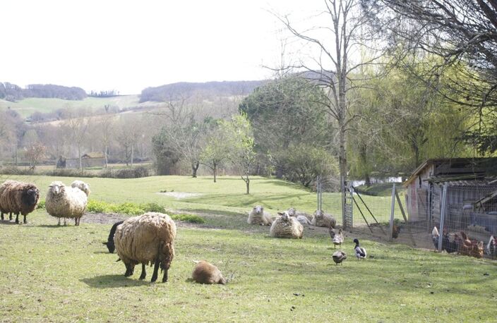 SAINT JEAN POUTGE 32, à vendre propriété de charme 8 pièces , dépendances et terrain arboré avec point d'eau — photo 3