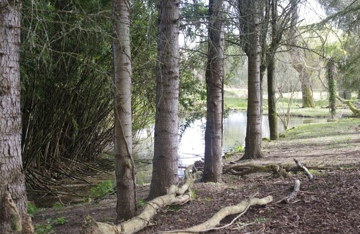SAINT JEAN POUTGE 32, à vendre propriété de charme 8 pièces , dépendances et terrain arboré avec point d'eau — photo 5