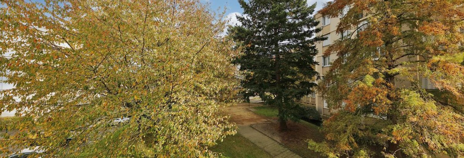 Appartement  28 m² à vendre à Le Plessis-Trévise (94420)