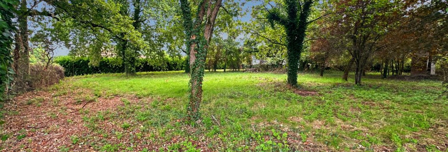 Terrain  1292 m² à vendre à Gaillac (81600)