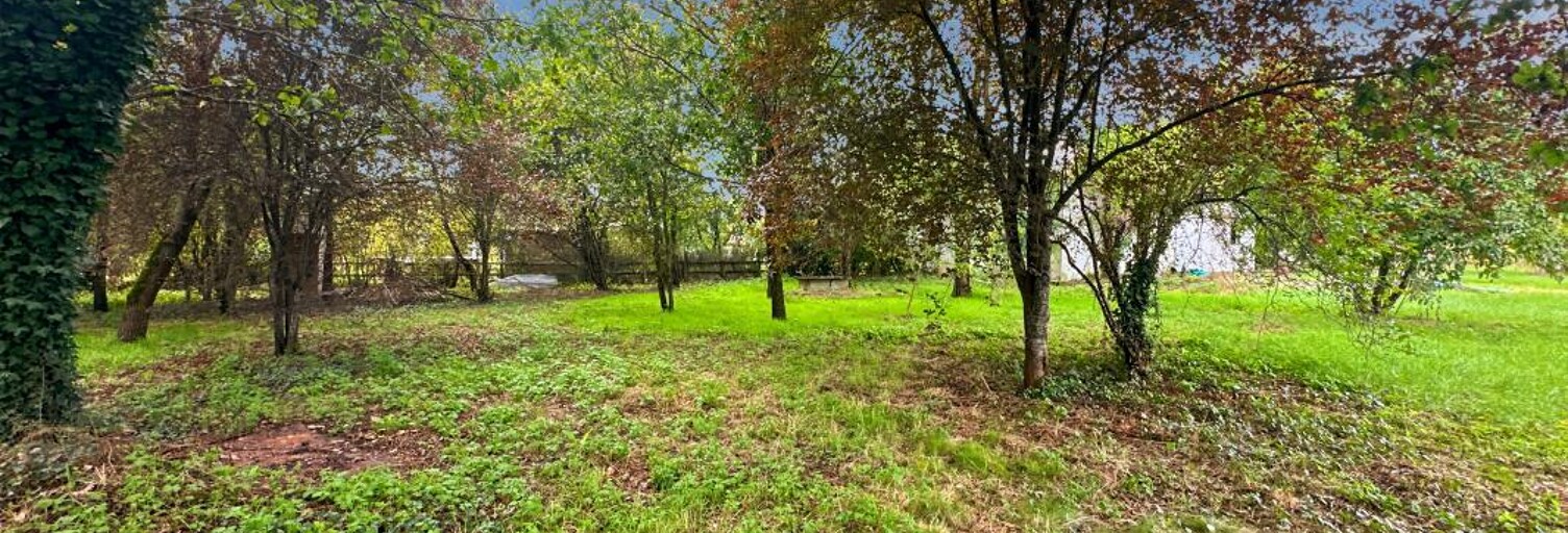 Terrain  1238 m² à vendre à Gaillac (81600)