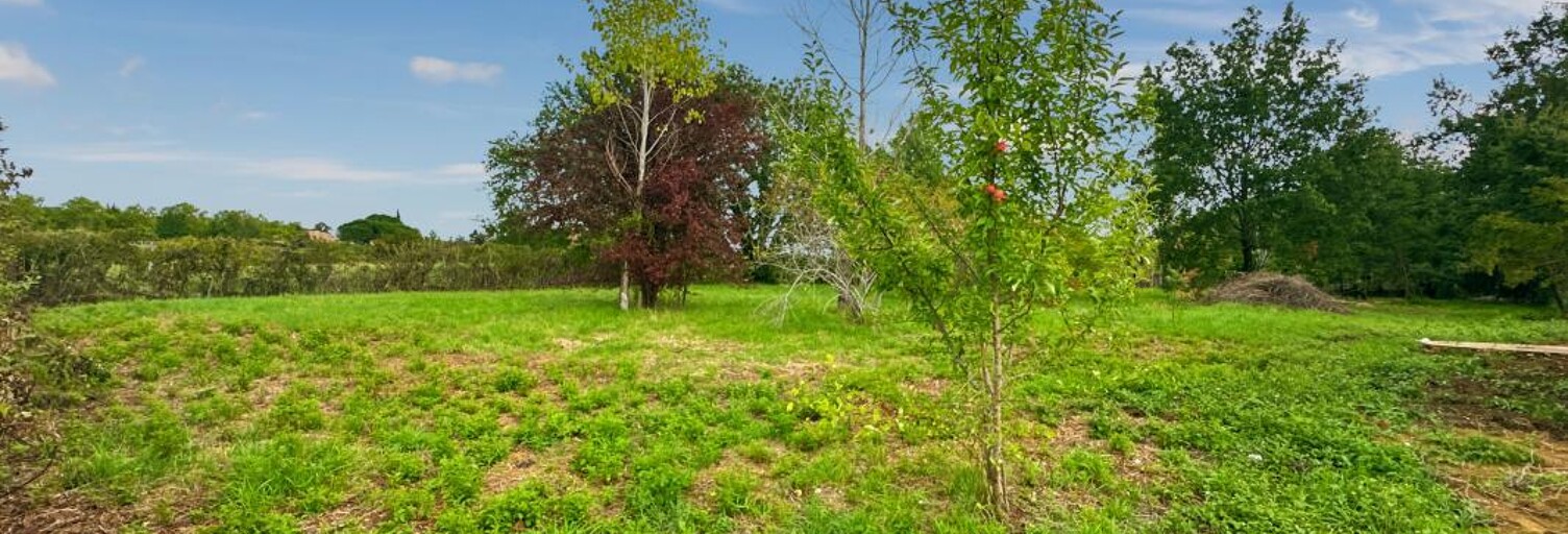 Terrain  1205 m² à vendre à Gaillac (81600)