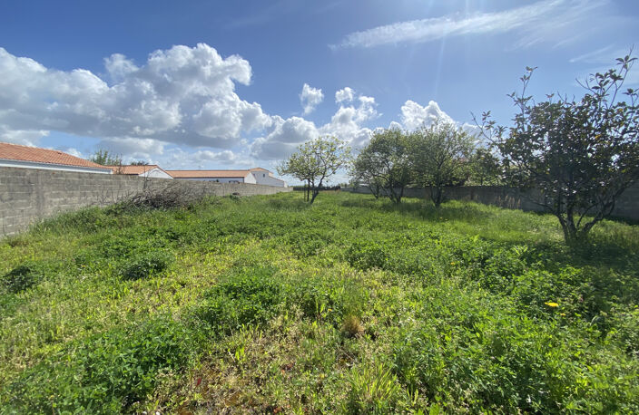 Ensemble immobilier Terrains, Maison, dépendances et grange — photo 5