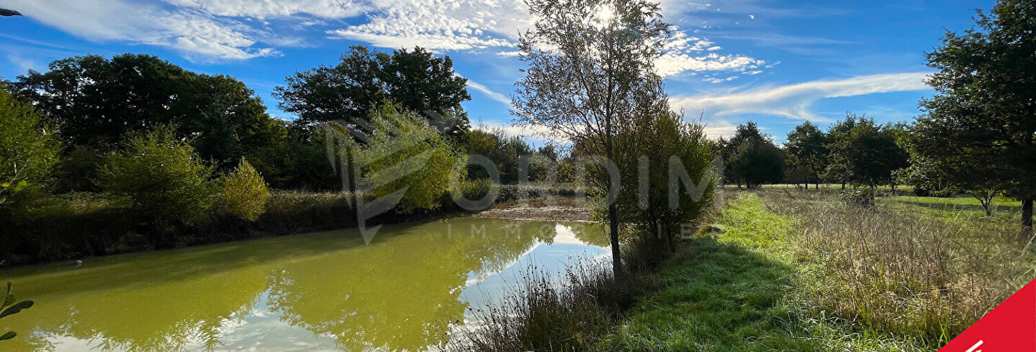 Terrain  6488 m² à vendre à Saint-Fargeau (89170)