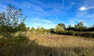 Terrain  6488 m² à vendre à Saint-Fargeau (89170)