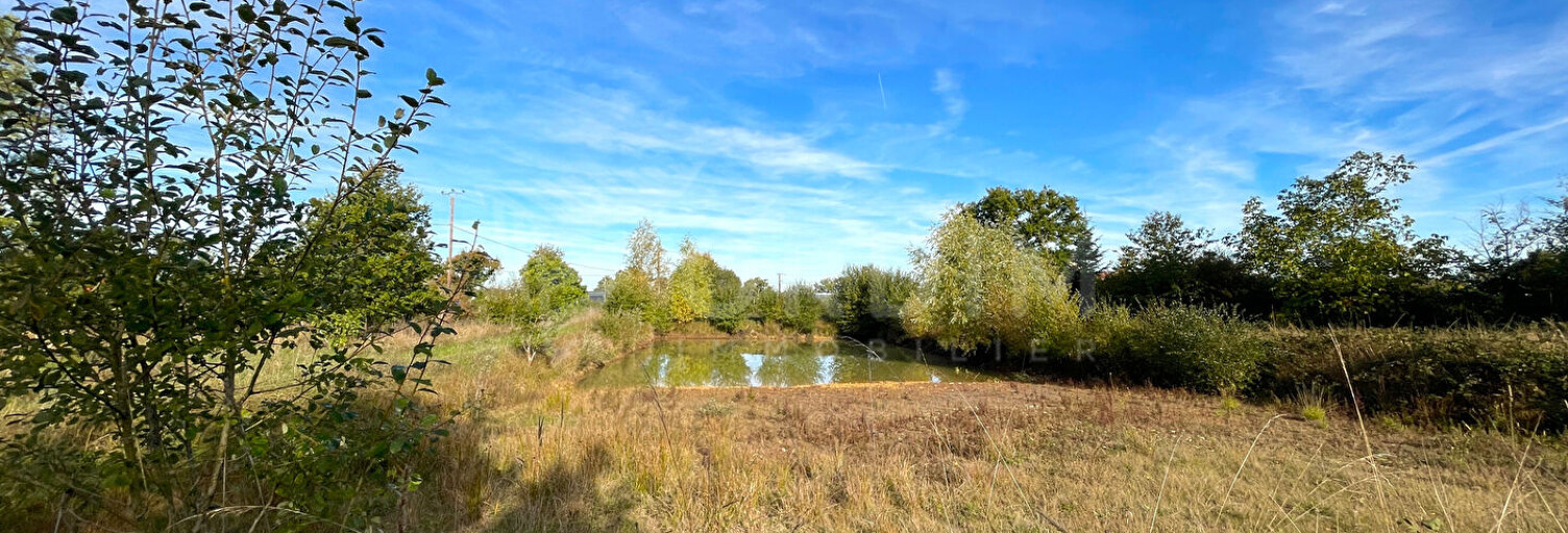 Terrain  6488 m² à vendre à Saint-Fargeau (89170)