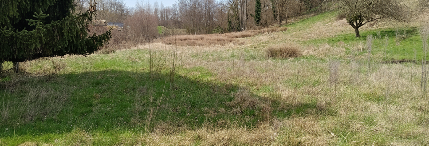 Terrain  4160 m² à vendre à Nivolas-Vermelle (38300)