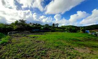 Terrain  1000 m² à vendre à Le Vauclin (97280)