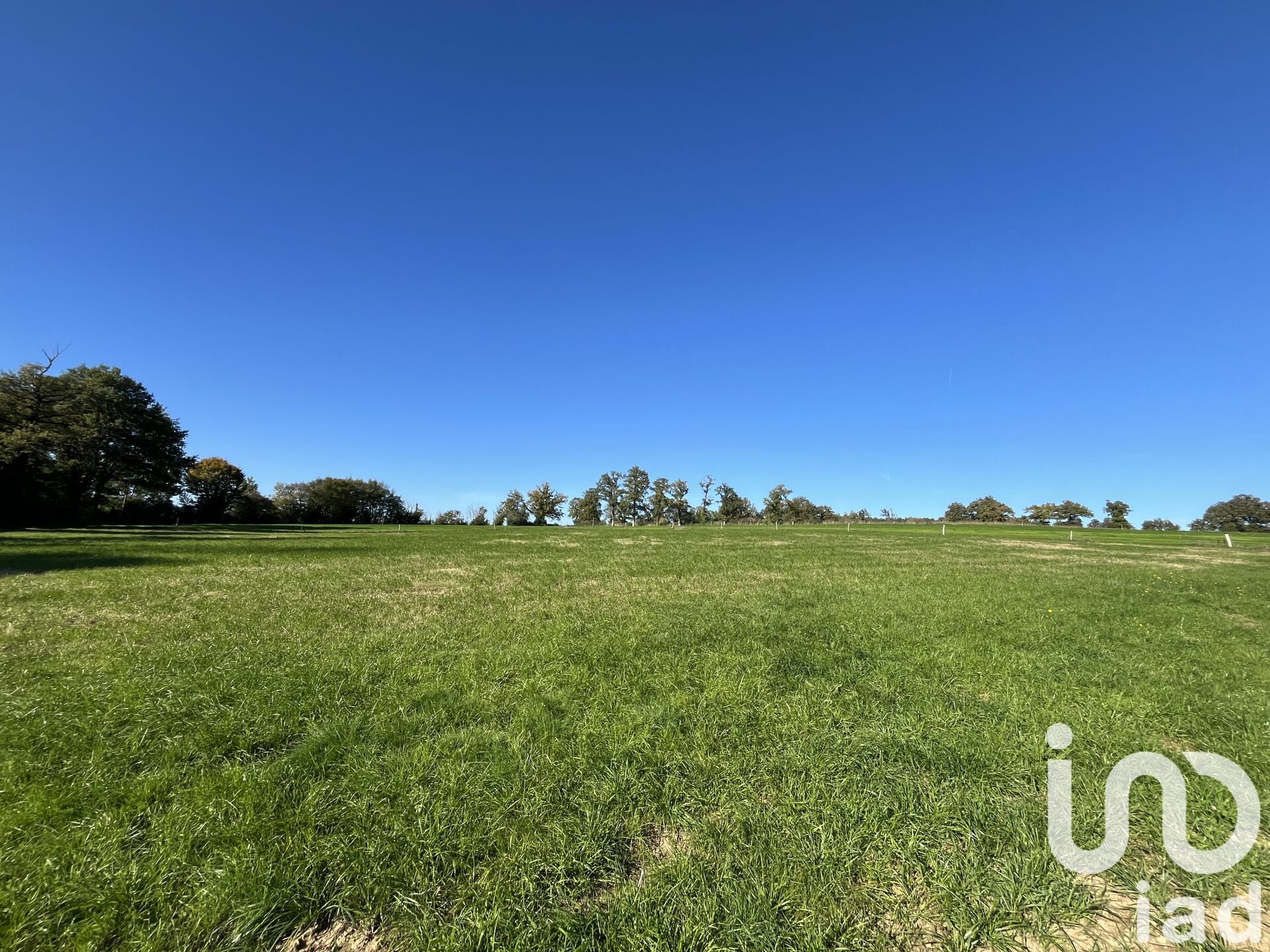 Roumazieres-Loubert - 5712m²