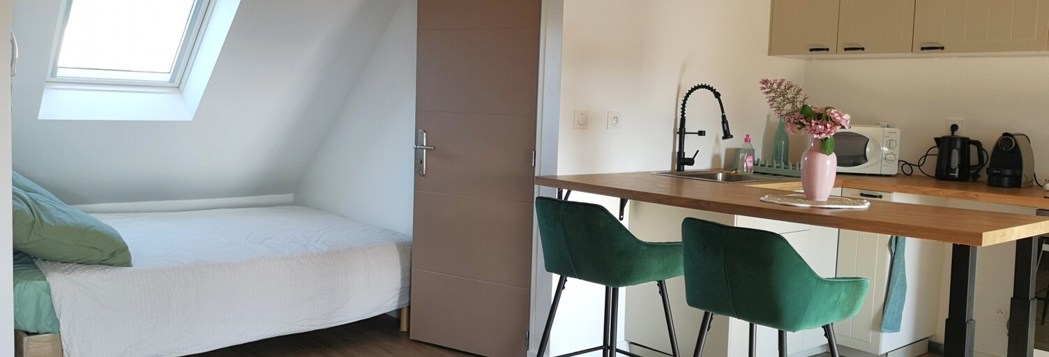 Appartement 1 Pièce 19 m² à vendre à Plougastel-Daoulas (29470)