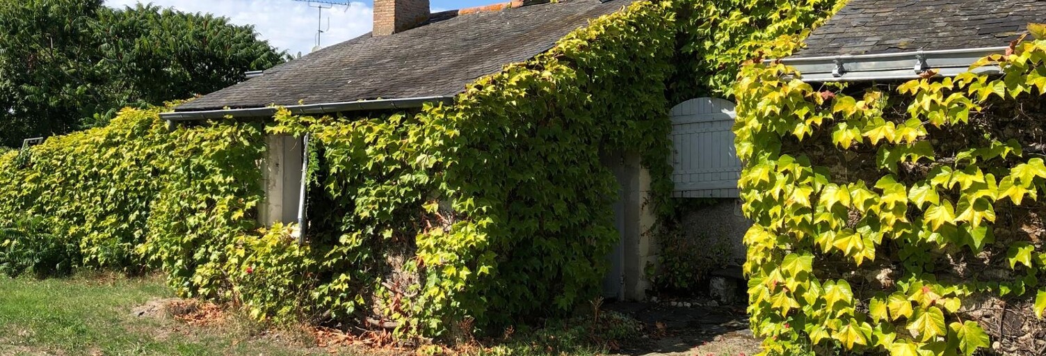 Maison 3 Pièces 75 m² à vendre à Mûrs-Erigné (49610)