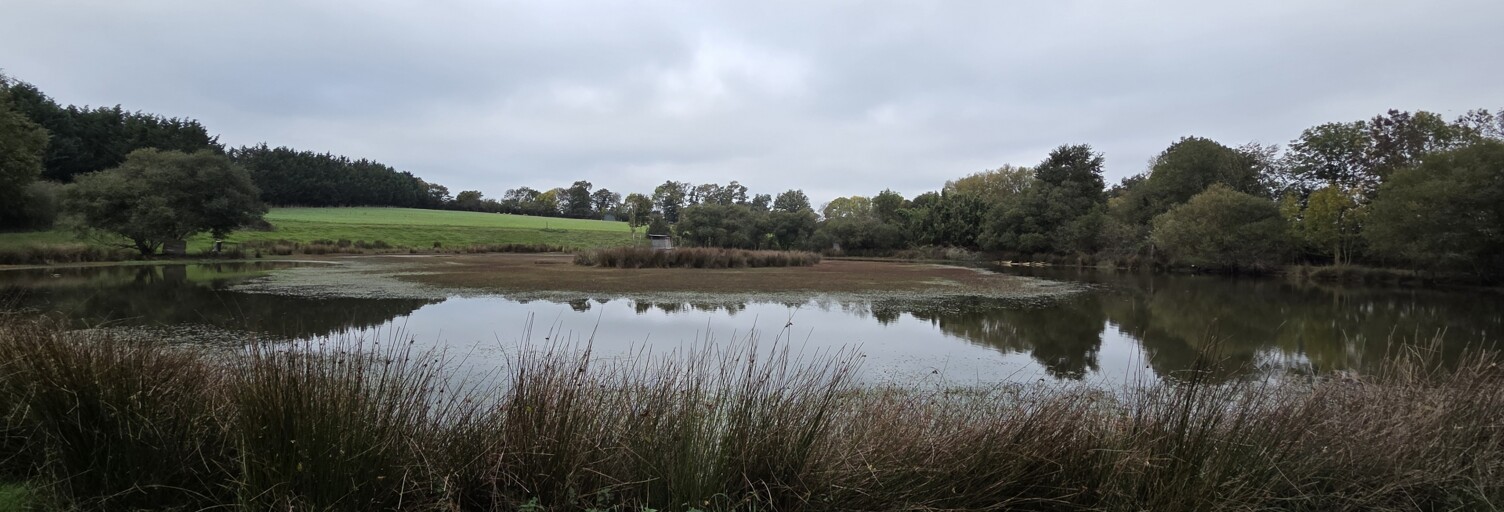 Terrain  41945 m² à vendre à La Tessoualle (49280)