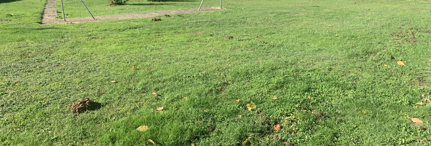 Terrain  625 m² à vendre à Moncé-en-Belin (72230)