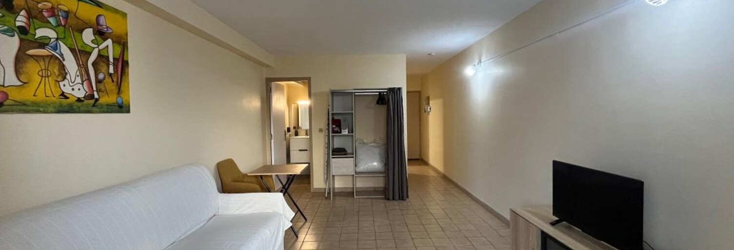 Appartement 1 Pièce 29 m² à louer à Schœlcher (97233)