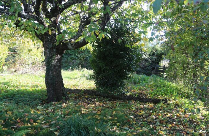 Petite maison de 57 m² à rafraîchir en sortie de ville — photo 2