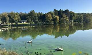 Maison 5 Pièces 172 m² à vendre à La Geneytouse (87400)